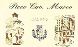 logo Picco Giuseppe