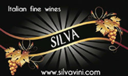 logo Silva